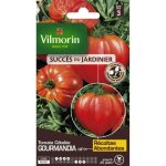 Sachet de graines tomate gourmandia hf1 - saveur et résistance au jardin - Sachet de graines tomate gourmandia hf1 - saveur et résistance au jardin -