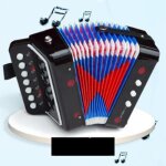 Jouet daccordon salalis - instrument de musique pour enfants - 2 basses 7 touches - noir
