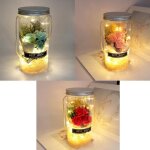 Salalis rose fleur souhaitant bouteille en verre rose ternelle romantique jamais fltrie rose veilleuse ...