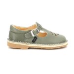 Aster saloms dingo - 2 kaki
