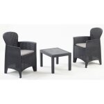 Salon bas de jardin - polypropyl�ne - 2 personnes - gris - akita