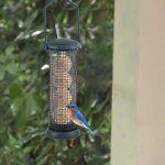 Salutuya mangeoire  oiseaux mangeoire pour oiseaux en plein air boule de graisse distributeur de jardin ...