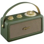 Sangean ra - 101 radio sans fil fm bluetooth aux rechargeable vert or Sangean ra - 101 radio sans fil fm bluetooth aux rechargeable vert or