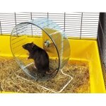 Savic roue rolly giant