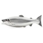 Savon poisson anti - odeurs. kikkerland.