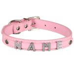 Scarlet pet collier pour chien my - name avec 5 lettres personnalis avec le nom [rose (xs) 26 cm]
