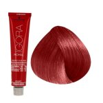 Coloration permanente - schwarzkopf - igora royal mix 0 - 88 - rouge vif - 60ml - cr�me