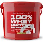 Scitec nutrition 100% whey protein professional redesign 5000 g eimer (banane)