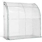 Serre dhivernage murale avec porte 200 x 200 x 100 transparent