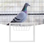 Cage  oiseaux - shipenophy - pige en fer - grande rsistance - pour pigeons et perroquets - dimensions ...