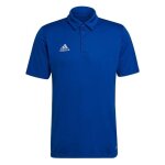 T - shirt homme / adulte - adidas - entrada 22 bleu - couleur principale bleu