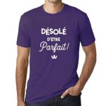 T - shirt homme - ultrabasic - dsol dtre parfait - 100% coton - manches courtes - vintage violet