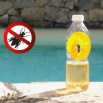 Shop - story - wasp trap : pack de 6 pièges à guêpes frelons mouches et insectes volants Écologiques ... Shop - story - wasp trap : pack de 6 pièges à guêpes frelons mouches et insectes volants Écologiques ...