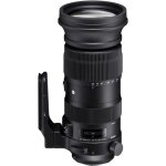 Tlobjectif - sigma - 60 - 600mm f4. 5 - 6. 3 - ouverture 45 - 63 - distance focale 60 - 600mm - milc ...