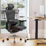Sihoo doro c300 chaise de bureau ergonomique avec soutien lombaire dynamiqueaccoudoirs et dossier r�glables ...