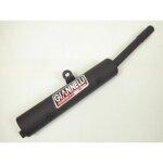 Silencieux de pot d�chappement giannelli pour moto yamaha 50 dtr 1982 � 1989