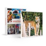 Coffret cadeau smartbox - entre au parc bellewaerde en 2024 pour 1 adulte - entre au parc bellewaerde ...