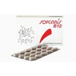 Sofcanis supplement nutritionnel apport vitamine b12 chien chat 40 comprimes