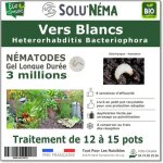 Solunema - n�matodes hb - vers blancs - 3 millions pour 12 � 15 pots soit environ 3m�