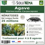 Solunema - nmatodes sc contre le charanon de lagave - pour 4  8 agaves - 25 millions steinernema carpocapsa ...