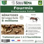 Solunema - n�matodes sf - fourmis - 5 millions n�matodes pour 1 � 3 fourmili�res ou jusqu� environ 10m� ...