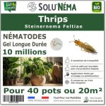 Solunema - nmatodes sf - thrips - 10 millions pour environ 20m