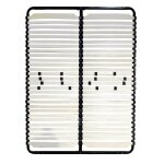 Sommier � lattes r�glables - mon mobilier design - doze - 56 lattes - 160x200 cm - noir