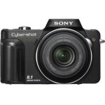 Sony dsc - h10