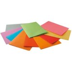 Sous - chemises 80g rock assorti - pochette de 30