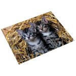 Sous - main - laufer - chats dans la paille - 400 x 530 mm - antid�rapant - lavable
