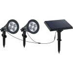 Spot solaire led - lumi jardin - family spiky - 3 w - blanc froid - pvc - noir Spot solaire led - lumi jardin - family spiky - 3 w - blanc froid - pvc - noir
