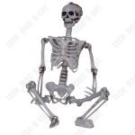 Squelette dhalloween 165cm - tech discount - posture réglable - décoration terrifiante pour halloween ... Squelette dhalloween 165cm - tech discount - posture réglable - décoration terrifiante pour halloween ...