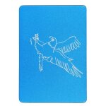 Disque dur ssd 2. 5 pouces - surenhap - auto - reconnaissance bureau pour stocker donn�es - 16 go