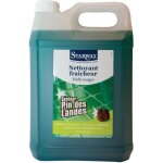 Starol nettoyant assainissant pin - 5 l