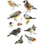 Sticker - herma - decor oiseaux aquarelle - papier - multicolore - d�coration murale