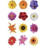 Sticker d�cor petits pots de fleurs - herma - sticker - papier - d�coration murale