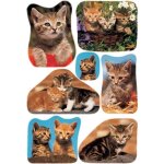 Sticker decor photos de chats