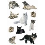 Herma stickers d�co photos de chats ? 3 planches (21 �tiquettes) ? autocollants papier
