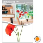 Sticker vitre coquelicots
