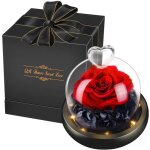 Stillcool� rose eternelle avec coffre fleur r�el sous cloche avec led lumi�re cadeaux de saint valentin ...