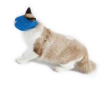 Muselières pour chats - surenhap - maille respirante - réglables - accessoires essentiels Muselières pour chats - surenhap - maille respirante - réglables - accessoires essentiels
