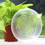Soucoupes pour plantes - surenhap - transparent - 10 pièces - diamètre 21 cm - plastique durable Soucoupes pour plantes - surenhap - transparent - 10 pièces - diamètre 21 cm - plastique durable
