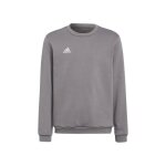 Sweat adidas entrada 22 gris - enfant - manches longues - col capuche