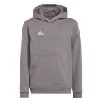 Sweat - adidas - entrada 22 hoody - homme - gris - manches longues - col capuche
