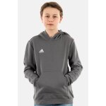 Sweat  capuche enfant adidas originals ent22 tegrfo - gris