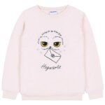 Sweat - shirt polaire cru pour filles harry potter