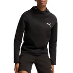 Sweatshirt puma evostripe hommes