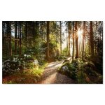 Tableau le temps des for�ts - 80x50cm - made in france