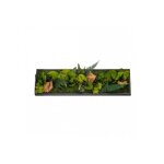Tableau vgtal canopee panoramic 70 x 20 cm