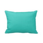 Taies doreillers - emeraud - lot de 2 - 100% coton - 50 x 70 cm - vert uni